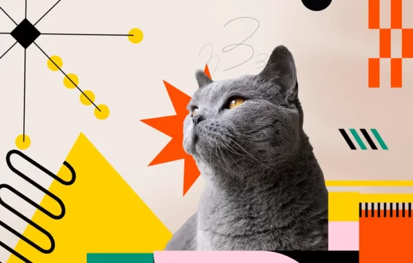 Foto de mascota impresa en taza sublimada