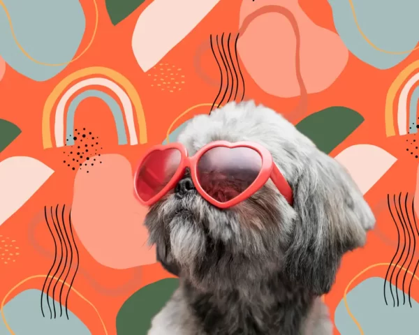Foto de mascota impresa en taza sublimada