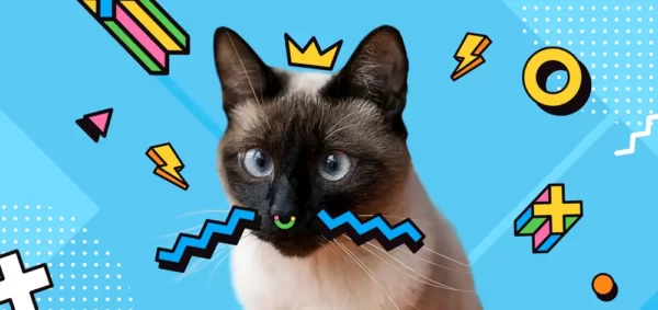 Foto de mascota impresa en taza sublimada